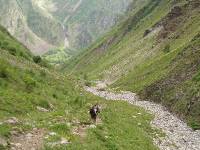 Youri - Ecrins 2005 315 
